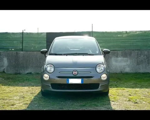 Used FIAT 500 Petrol 2019 Ad 