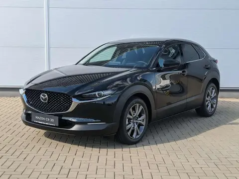 Annonce MAZDA CX-30 Essence 2024 d'occasion Allemagne