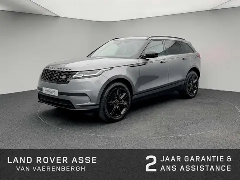 Used LAND ROVER RANGE ROVER VELAR Petrol 2023 Ad 