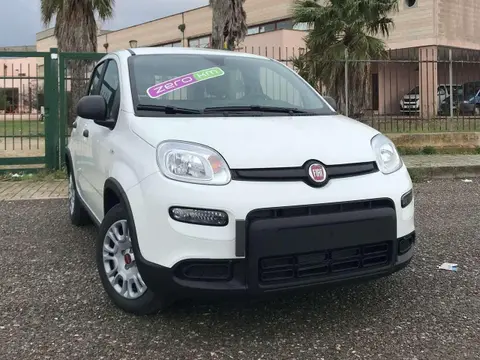 Used FIAT PANDA Hybrid 2023 Ad 