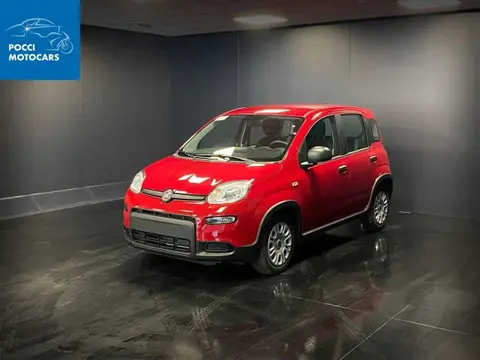 Annonce FIAT PANDA Hybride 2023 d'occasion 