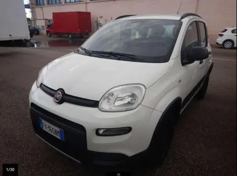 Used FIAT PANDA Petrol 2019 Ad 