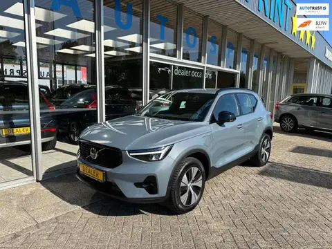 Used VOLVO XC40 Hybrid 2023 Ad 