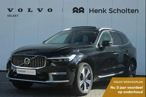 Annonce VOLVO XC60 Hybride 2023 d'occasion 