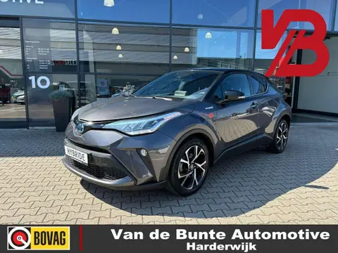 Used TOYOTA C-HR Hybrid 2019 Ad 