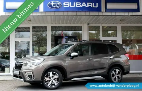 Used SUBARU FORESTER Petrol 2019 Ad 