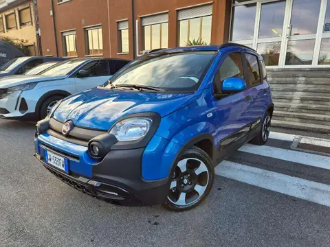 Annonce FIAT PANDA Hybride 2024 d'occasion 