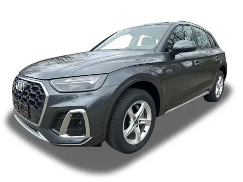 Used AUDI Q5 Petrol 2024 Ad 