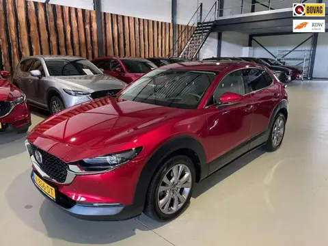 Used MAZDA CX-30 Hybrid 2021 Ad 