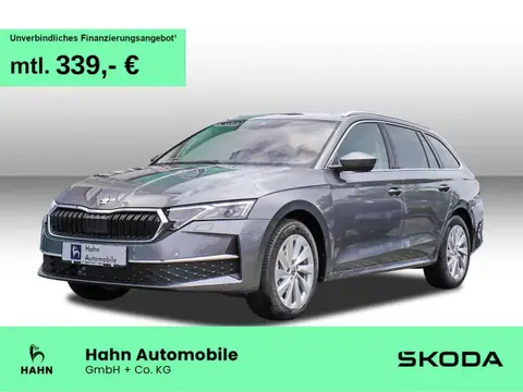 Used SKODA OCTAVIA Diesel 2024 Ad 