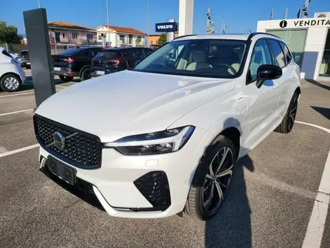 Annonce VOLVO XC60 Hybride 2024 d'occasion 