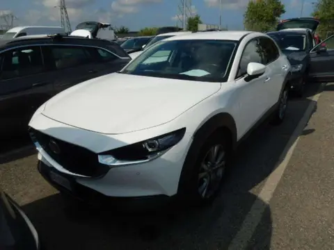 Used MAZDA CX-30 Hybrid 2020 Ad 