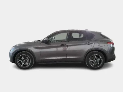 Used ALFA ROMEO STELVIO Diesel 2020 Ad 