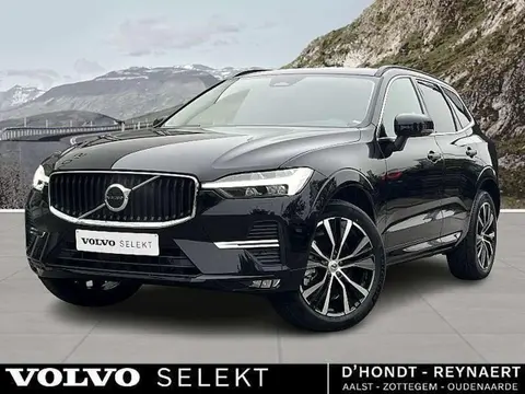 Annonce VOLVO XC60 Hybride 2023 d'occasion 