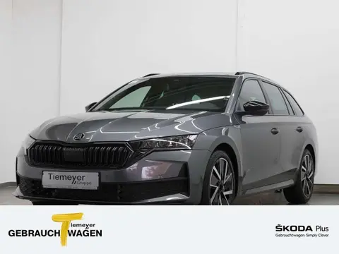 Annonce SKODA OCTAVIA Essence 2024 d'occasion 