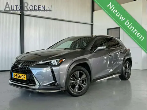 Used LEXUS UX Hybrid 2020 Ad 