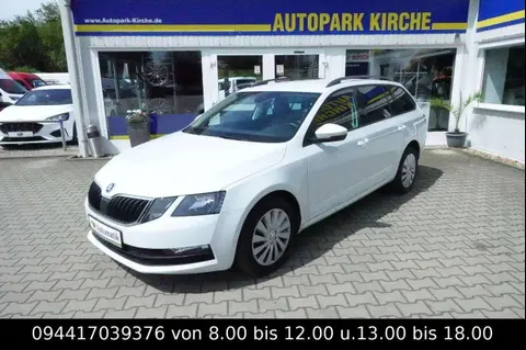 Annonce SKODA OCTAVIA Diesel 2019 d'occasion 