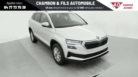 Annonce SKODA KAROQ Diesel 2024 d'occasion 