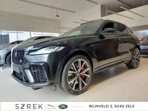 Used JAGUAR F-PACE Petrol 2024 Ad 