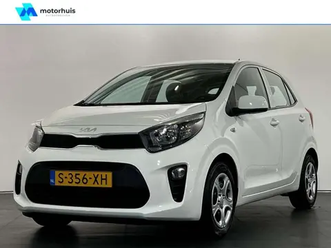 Annonce KIA PICANTO Essence 2023 d'occasion 