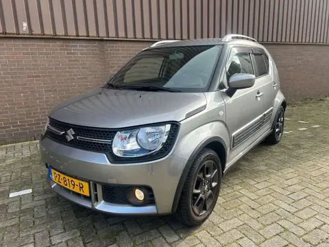 Used SUZUKI IGNIS Petrol 2017 Ad 