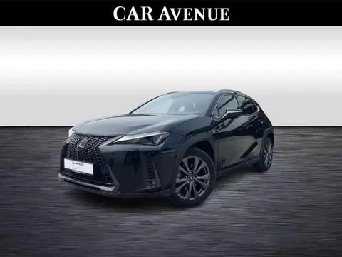 Used LEXUS UX Hybrid 2023 Ad 