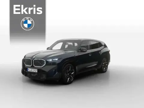 Used BMW XM Hybrid 2024 Ad 