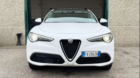 Used ALFA ROMEO STELVIO Diesel 2019 Ad 