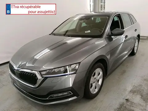 Annonce SKODA OCTAVIA Diesel 2023 d'occasion 