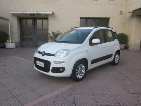 Annonce FIAT PANDA Essence 2019 d'occasion 