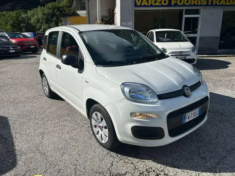 Used FIAT PANDA Petrol 2019 Ad 