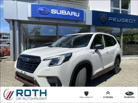 Annonce SUBARU FORESTER Essence 2024 d'occasion 