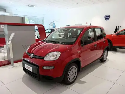 Used FIAT PANDA Hybrid 2024 Ad 