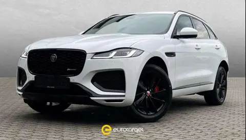 Used JAGUAR F-PACE Hybrid 2023 Ad 