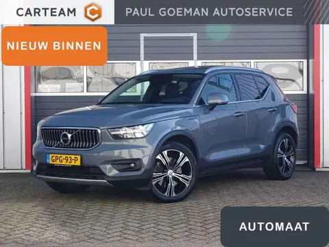 Annonce VOLVO XC40 Hybride 2020 d'occasion 