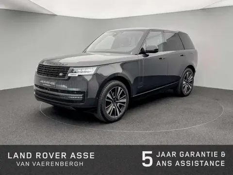 Annonce LAND ROVER RANGE ROVER Hybride 2024 d'occasion 