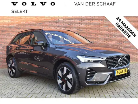 Used VOLVO XC60 Hybrid 2024 Ad 