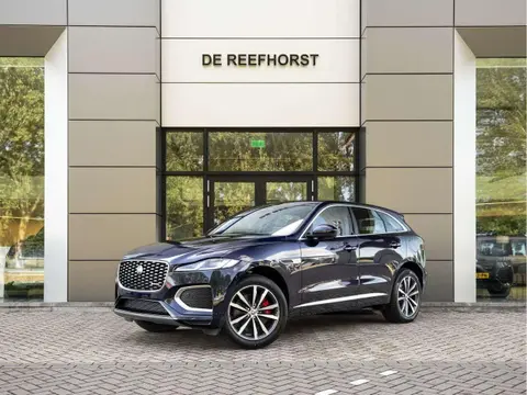 Used JAGUAR F-PACE Hybrid 2024 Ad 