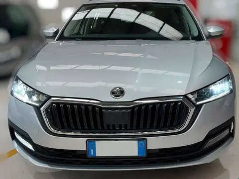 Annonce SKODA OCTAVIA Diesel 2022 d'occasion 