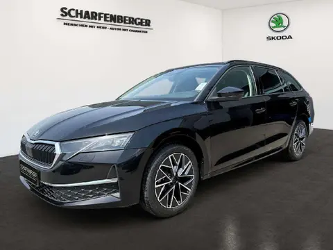 Annonce SKODA OCTAVIA Diesel 2024 d'occasion 