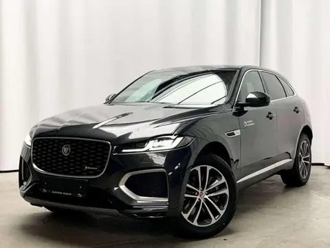 Annonce JAGUAR F-PACE Hybride 2022 d'occasion 