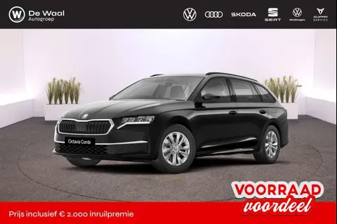 Annonce SKODA OCTAVIA Essence 2024 d'occasion 