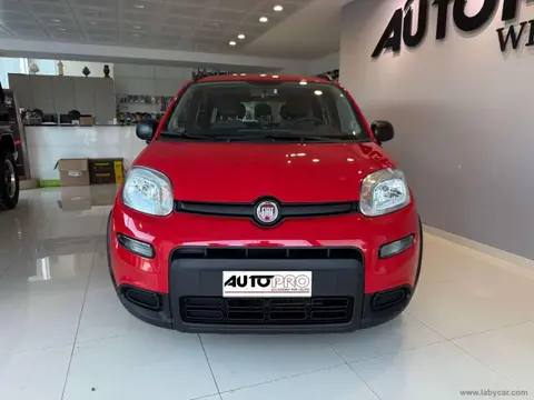 Used FIAT PANDA Hybrid 2021 Ad 