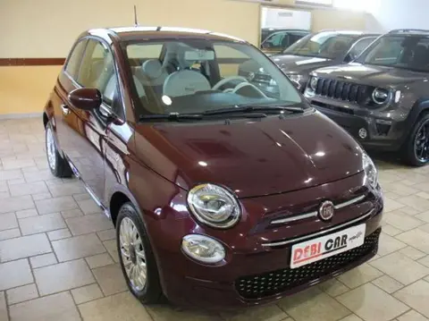 Used FIAT 500 Petrol 2019 Ad 