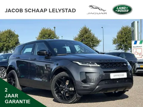 Used LAND ROVER RANGE ROVER EVOQUE Hybrid 2021 Ad 