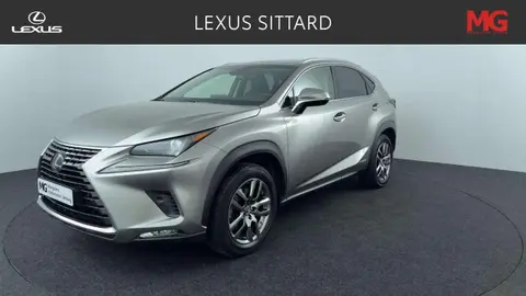 Annonce LEXUS NX Hybride 2018 d'occasion 