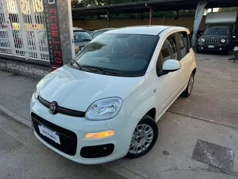 Annonce FIAT PANDA Hybride 2021 d'occasion 