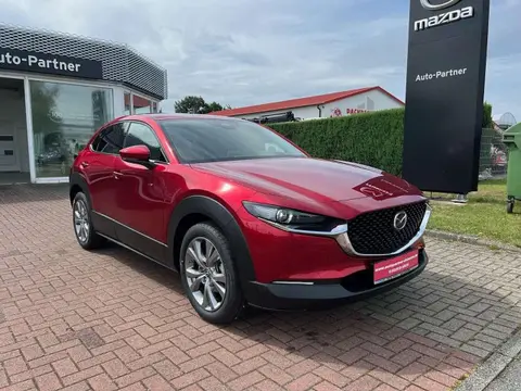 Annonce MAZDA CX-30 Hybride 2024 d'occasion 