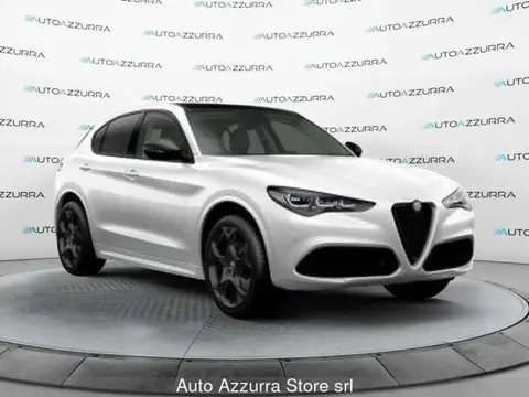 Annonce ALFA ROMEO STELVIO Diesel 2024 d'occasion 