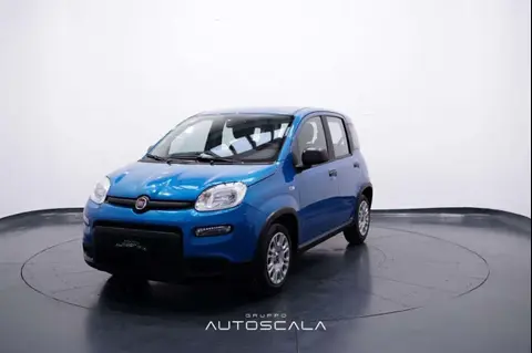 Used FIAT PANDA Hybrid 2024 Ad 